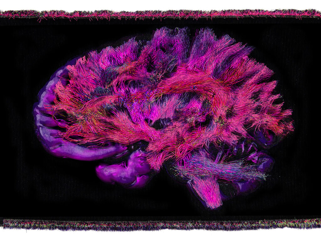 Recycled Brain, 2020, Recycled plastic, natural yarns, 190 x 280 x 5 cm, Ed. 1/2. Courtesy the artist, A-Collection and Galerie Alberta Pane.
